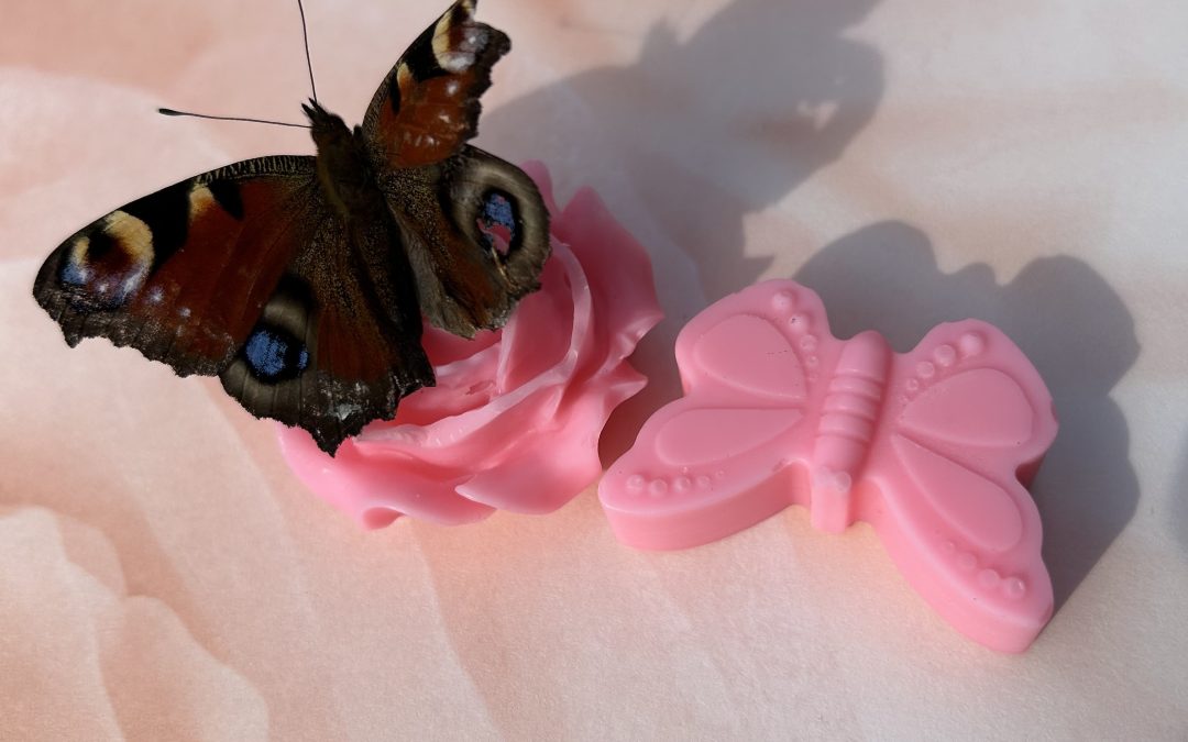 Les fondants PAPILLONS