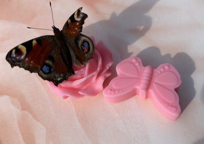 Les fondants PAPILLONS