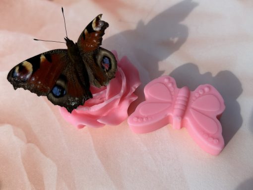 Les fondants PAPILLONS